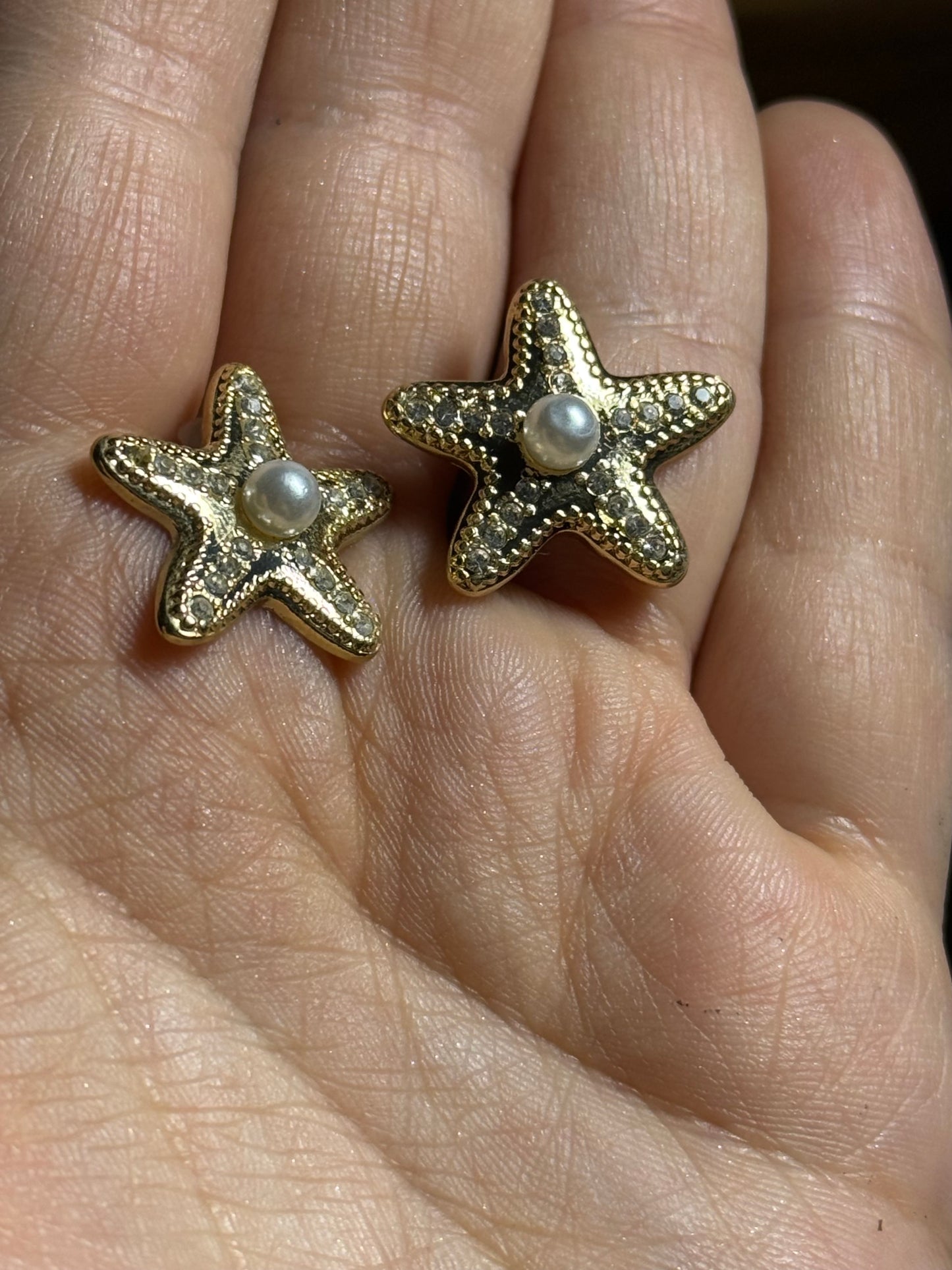The two stars